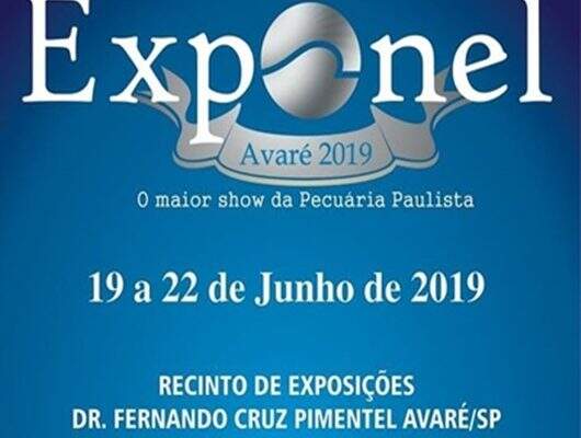 EXPONEL 2019