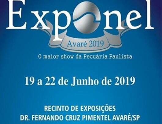 EXPONEL 2019